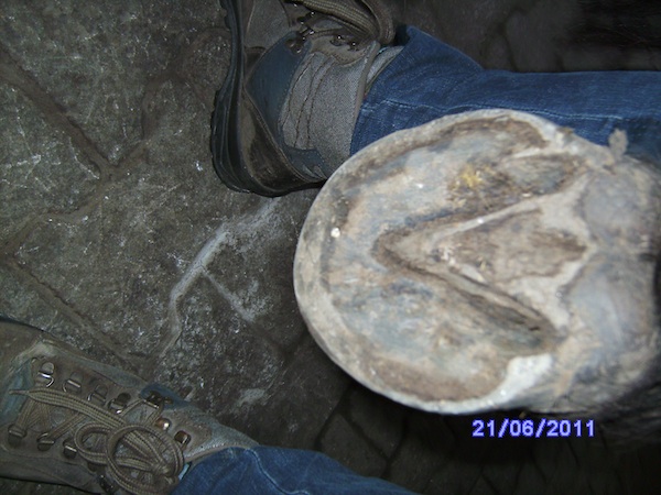 Hinten rechts Juni 2011