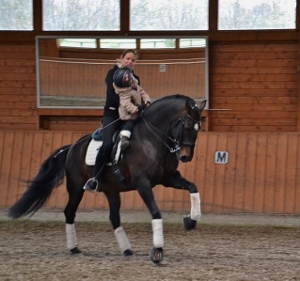 BrittaRasche (300x281).jpg