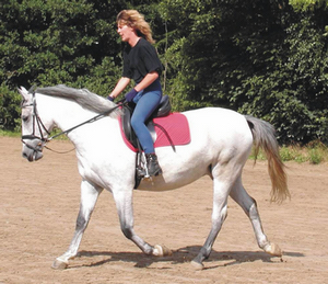 Gudrun Bittner, leider viel zu früh verstorben, zeigte ihr den Weg ins Reitpferd-Leben