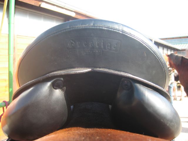 Sattel Wirbelsäule.jpg
