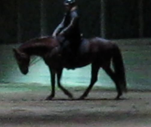 Bild 1.jpg