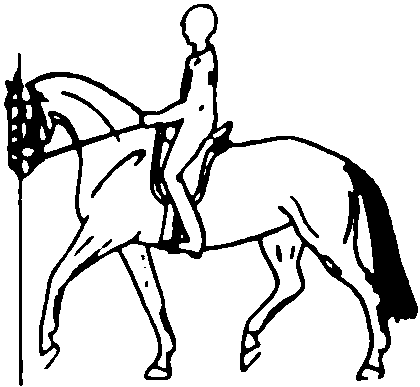 falscherknick.gif